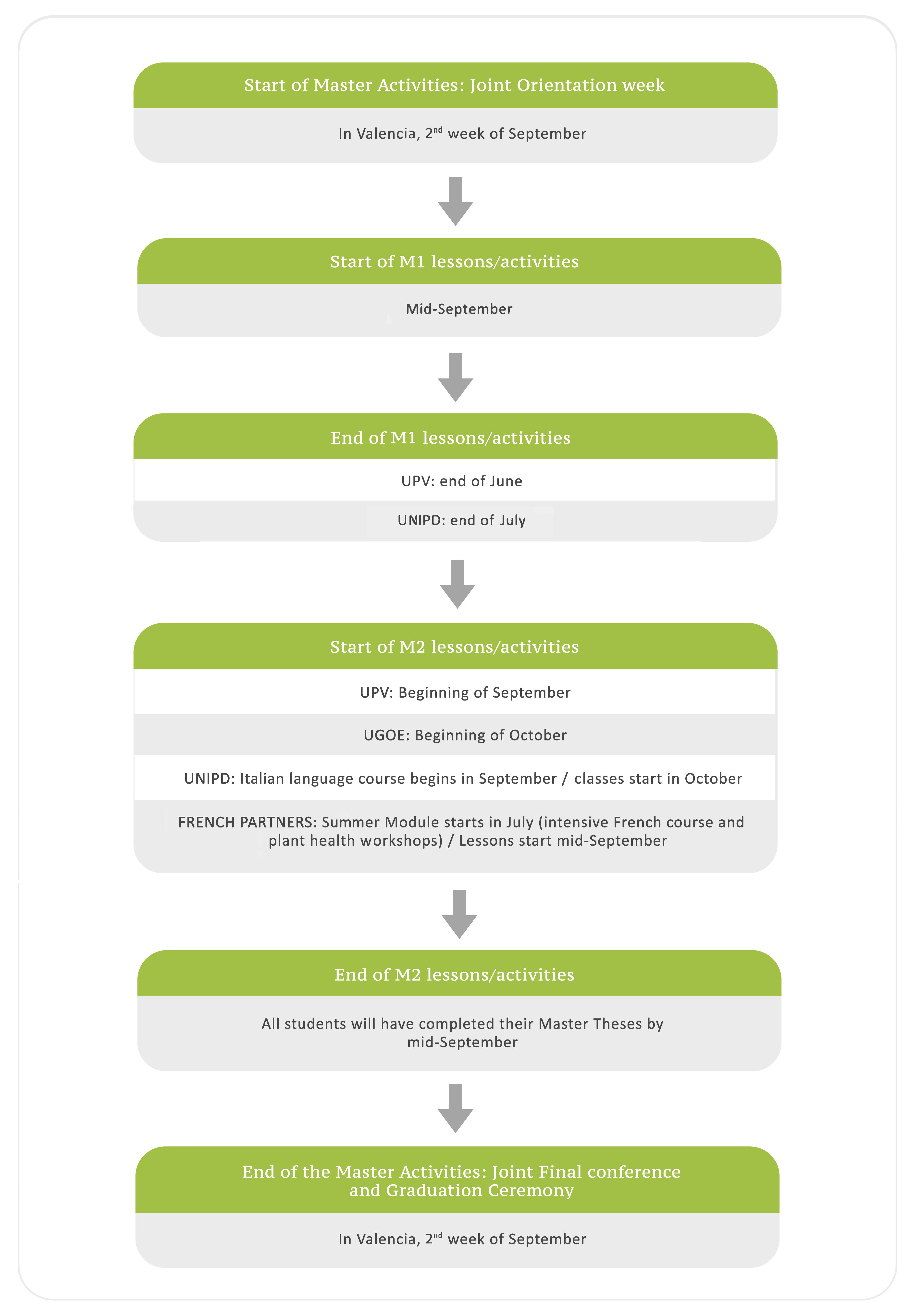 PlantHealth Master - Orientative Timeline